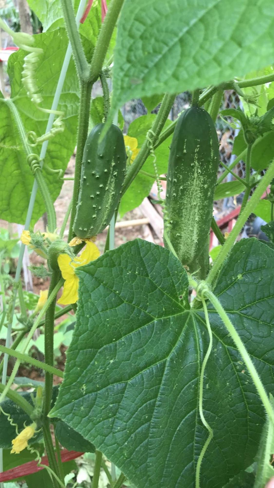 Bee Lucky Homestay Hien Hao 외부 사진