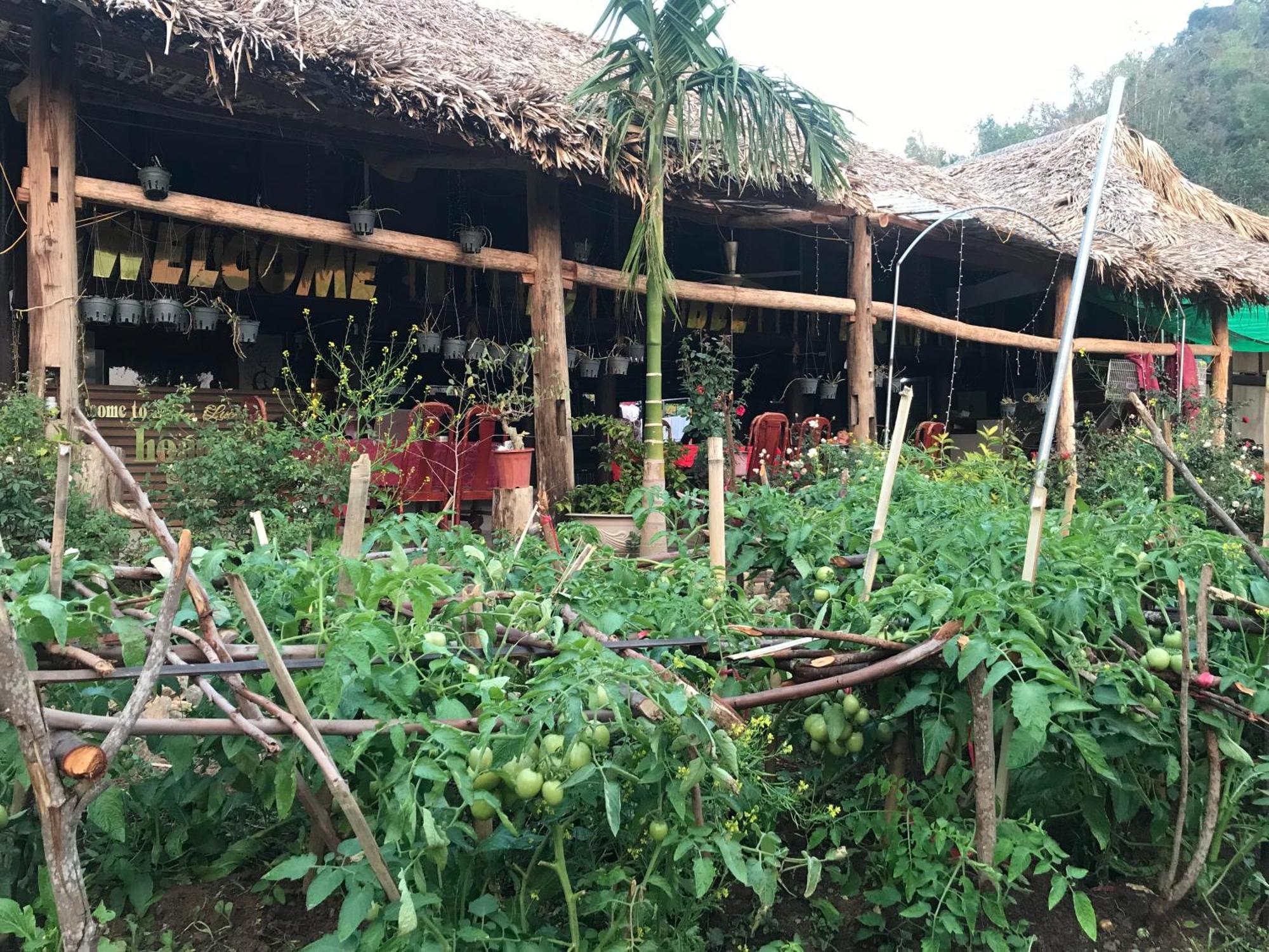 Bee Lucky Homestay Hien Hao 외부 사진