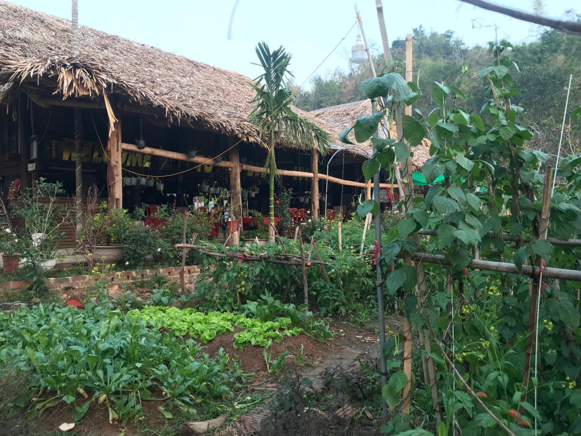 Bee Lucky Homestay Hien Hao 외부 사진