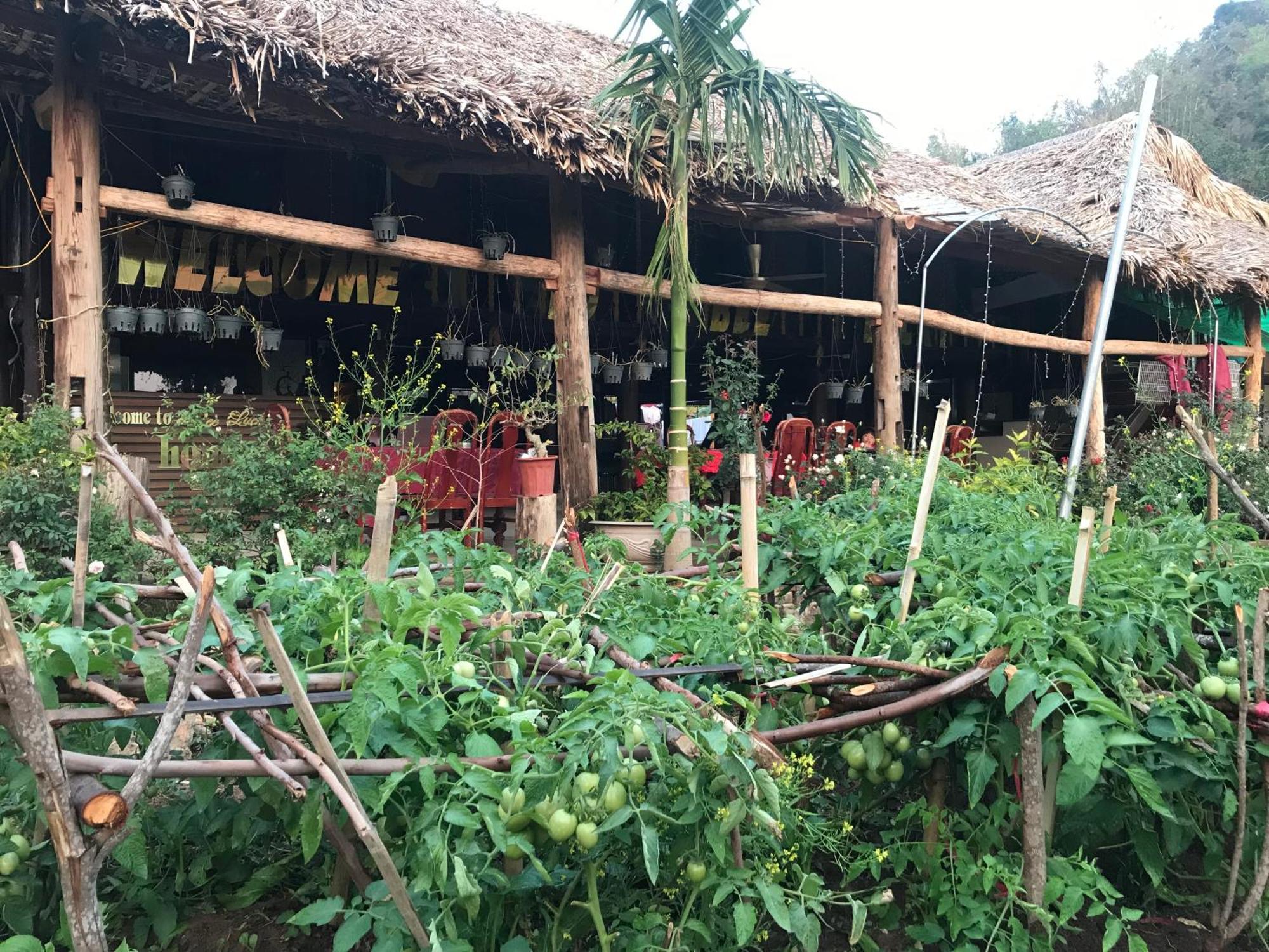 Bee Lucky Homestay Hien Hao 외부 사진